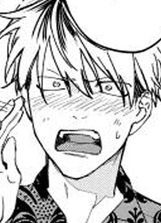 蜜蜂与柠檬香蜂草 截图1